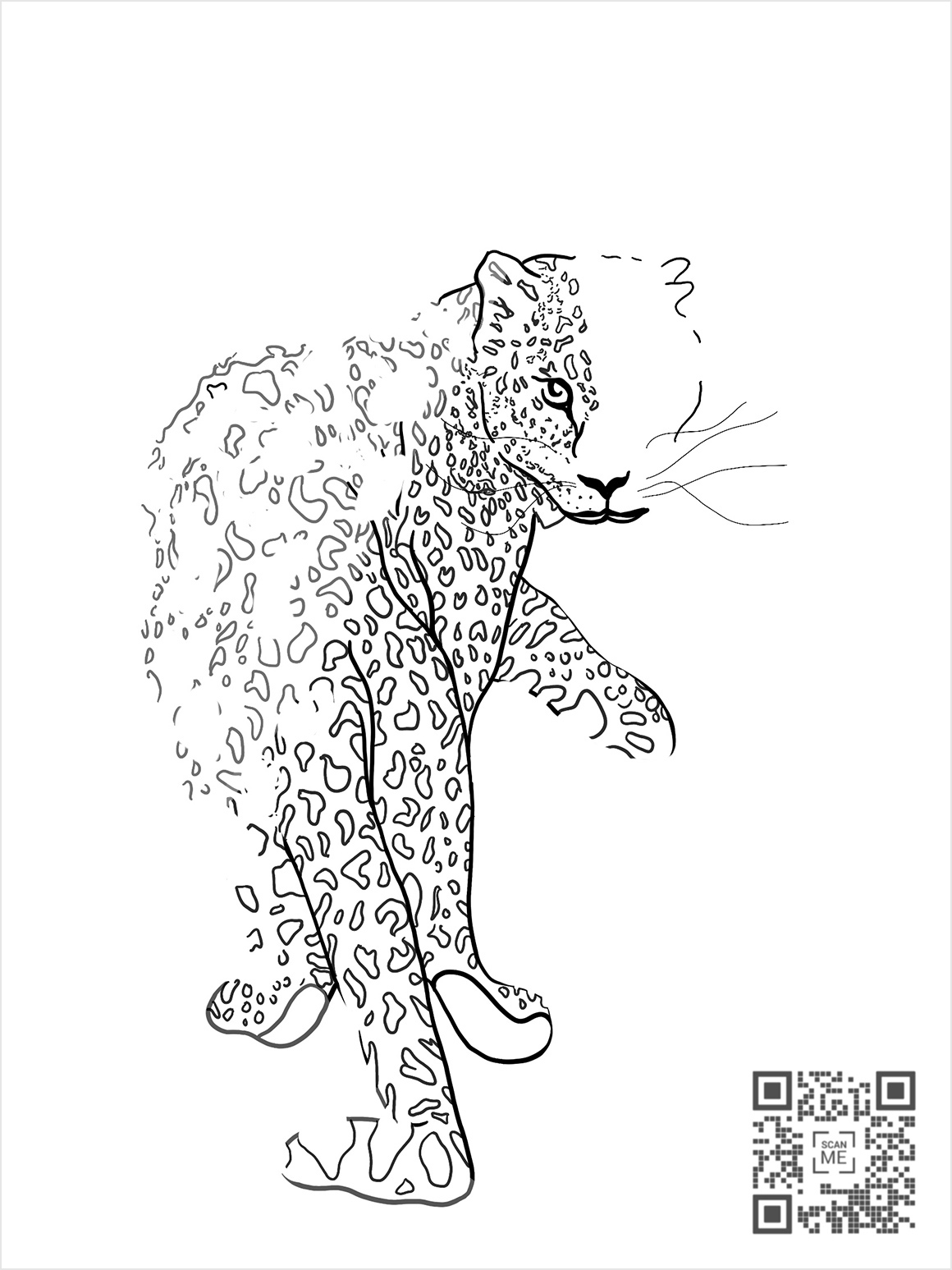 Ackels Amur Leopard w border
