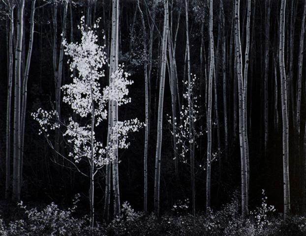 Ansel Adams