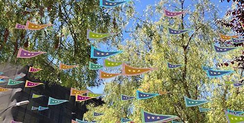 Heinlenville Flags