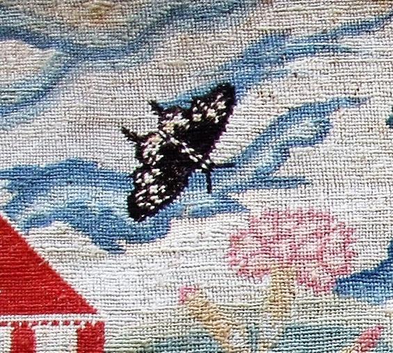 Mary Pickering butterfly