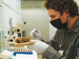 Alex Rinkert collects plant fragments using sterile technique from a 100 year old bird nest stored at the California Academy of Sciences.