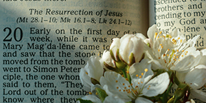 New Testament with flowers