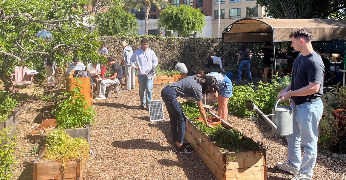 Students working in the Forge Garden
