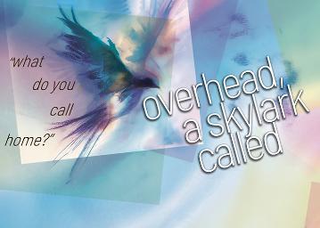 Bird silhouetted on a fractured rainbow background with text 