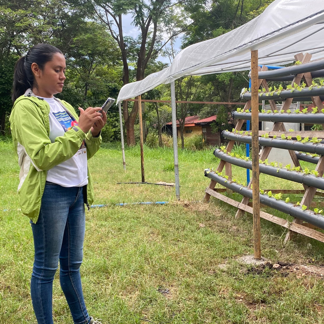 A Forecasting App to Support Climate Change Adaptation for Smallholder Farmers in Nicaragua 
