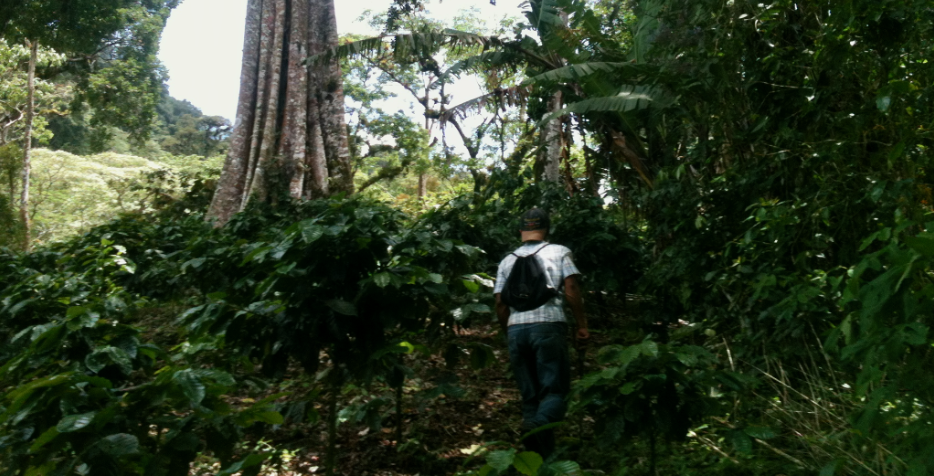 Agroecology for Sustainability and Justice