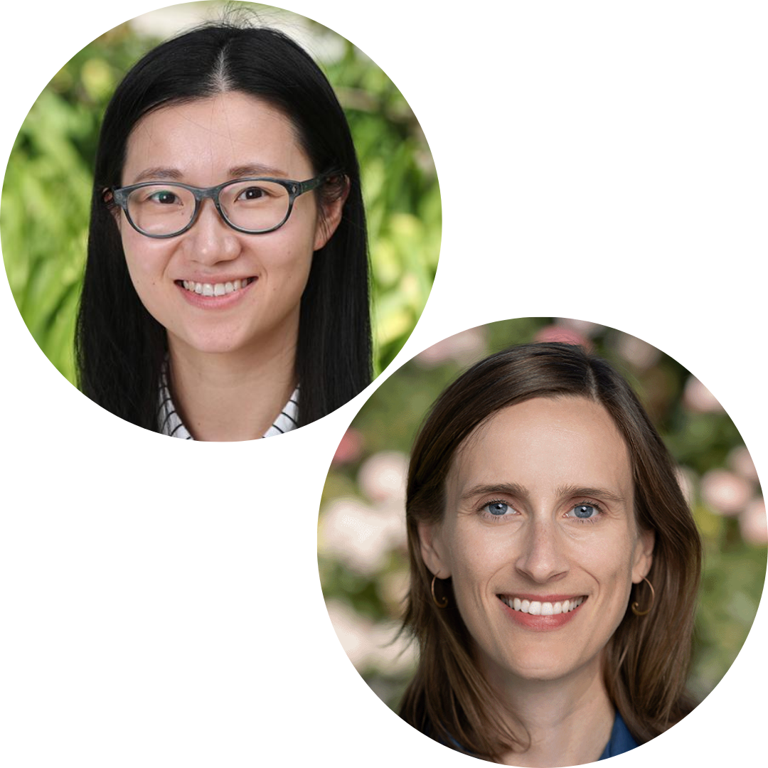 Qiuwen Li and Maia Dedrick