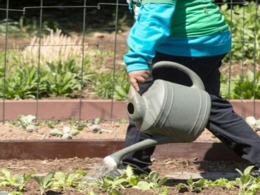 Research Grants Image