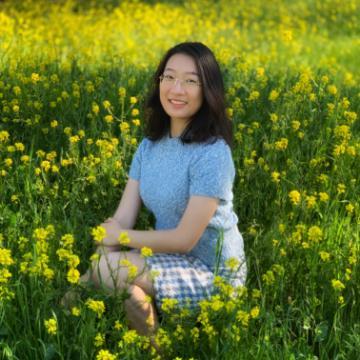 A person sitting in a field of yellow flowers.