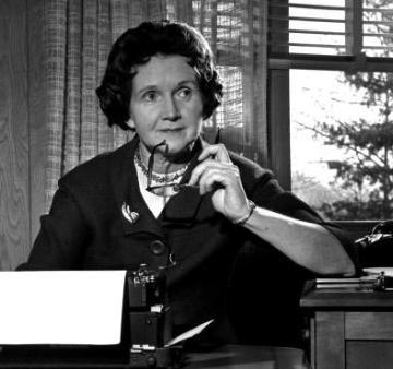Rachel Carson speaking on a telephone, seated at a desk with a window behind. image link to story