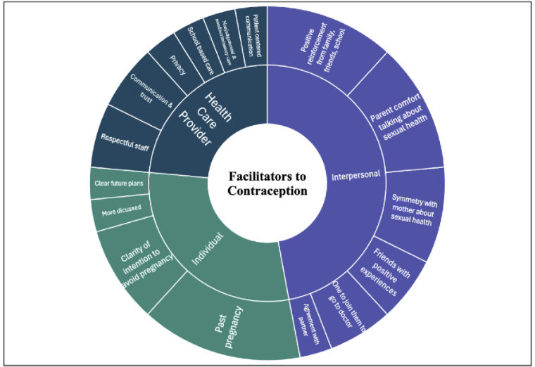 Figure 1. Facilitators to Contraception. The central themes include related subthemes, and the size of each section is proportional to the frequency with which each theme was mentioned across 16 studies. © 2024 Batek et al, National Library of Medicine, CC by 4.0.