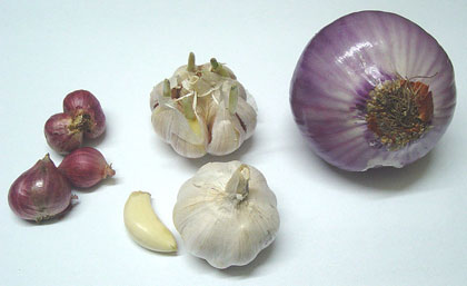 Various garlic cloves and a bulb on a white surface.
