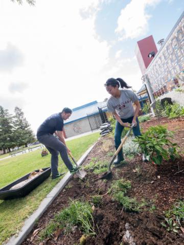 Two people gardening near a building on a bright day.