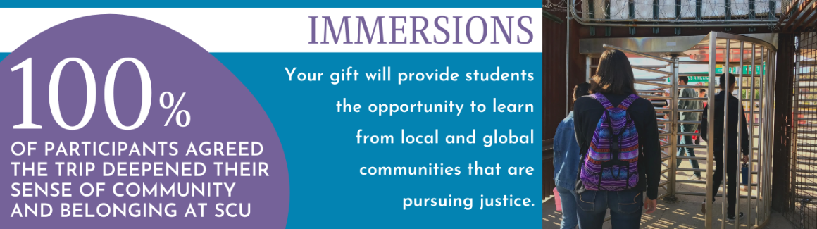 Immersions 2024-25 Metrics