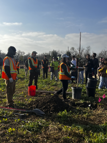 Volunteers