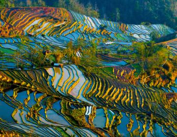 A painting featuring green and blue abstract patterns. image link to story