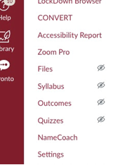 Camino Navigation screen shot to show NameCoach