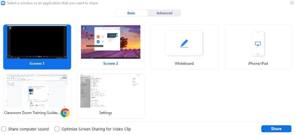 Zoom window with share screen options