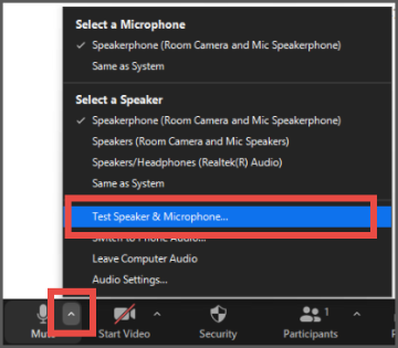 Alt text: Zoom settings menu with 