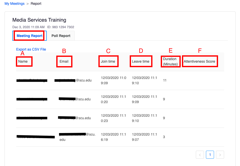 meeting report in zoom pro
