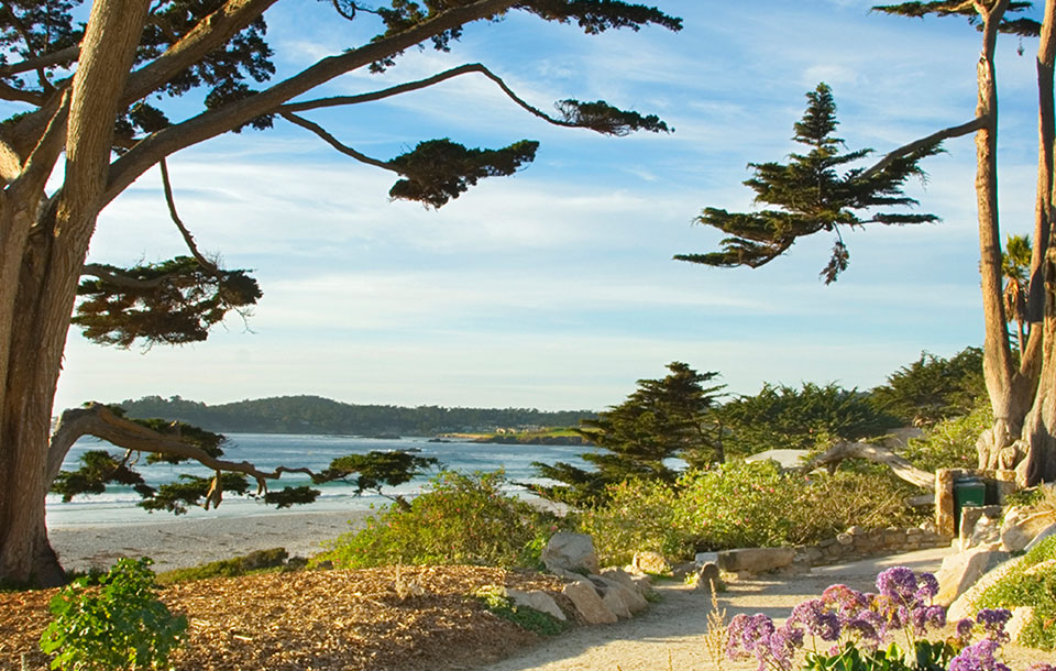 Beach at Carmel-by-the-Sea