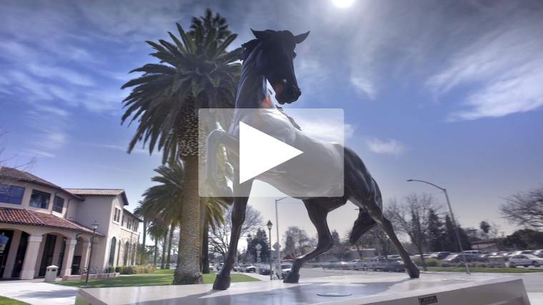 SCU Campus Bronco Statue