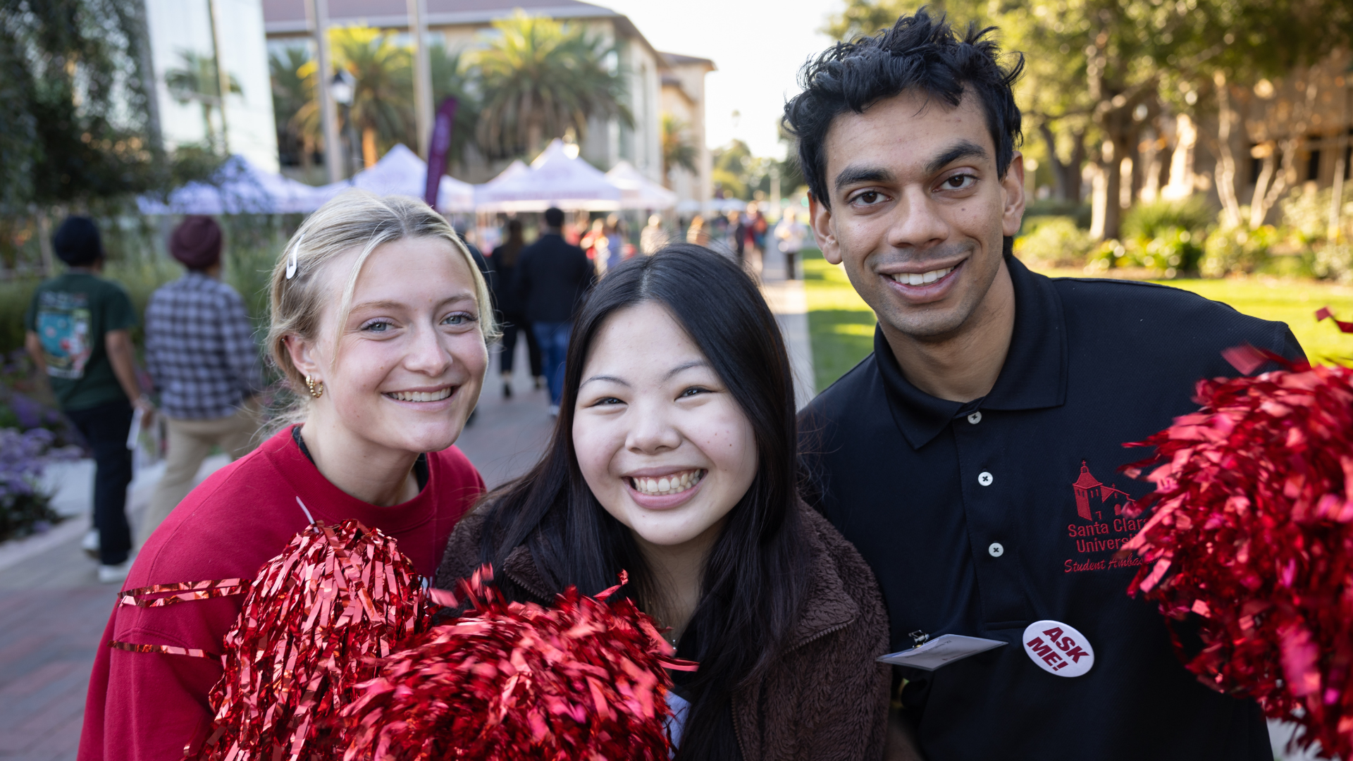 Ambassador Site Photo 4 