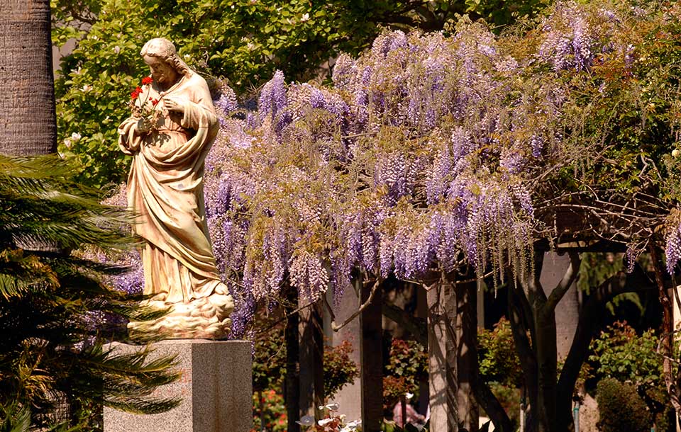 Stone sculpture in a garden with purple wisteria flowers in bloom.