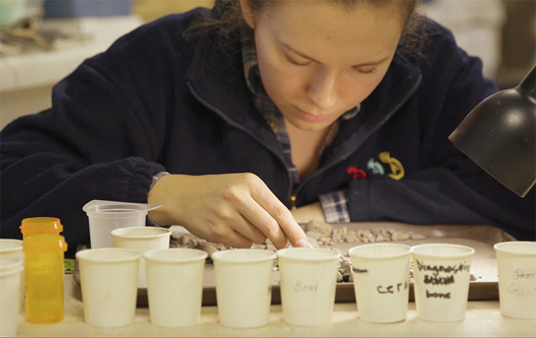 Student looks over artifacts pulled from Franklin Street excavation.