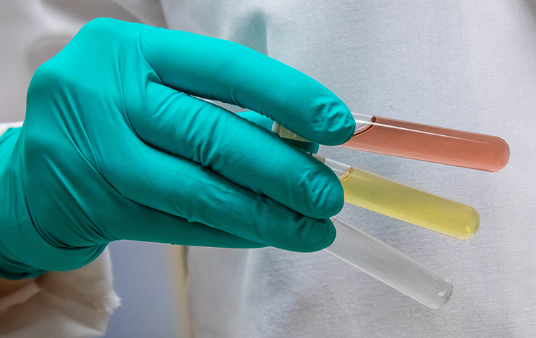 Korin Wheeler holding test tubes