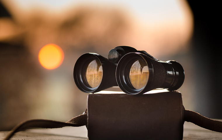 A pair of binoculars resting on a book