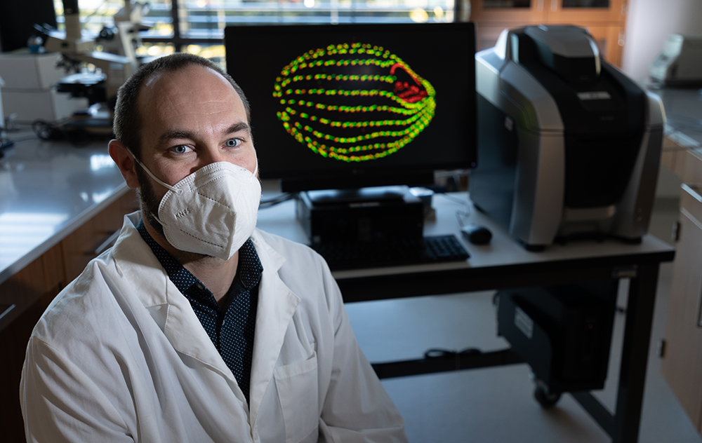 Brian Bayless sits in front of computer screen