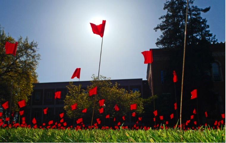 Pic to go with Nov. 18 symposium