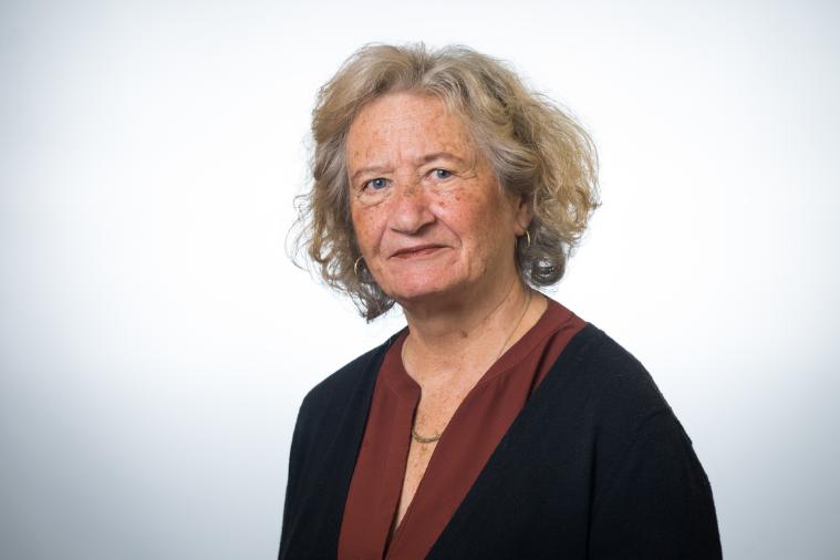 Gina  Hens-Piazza, Ph.D. image