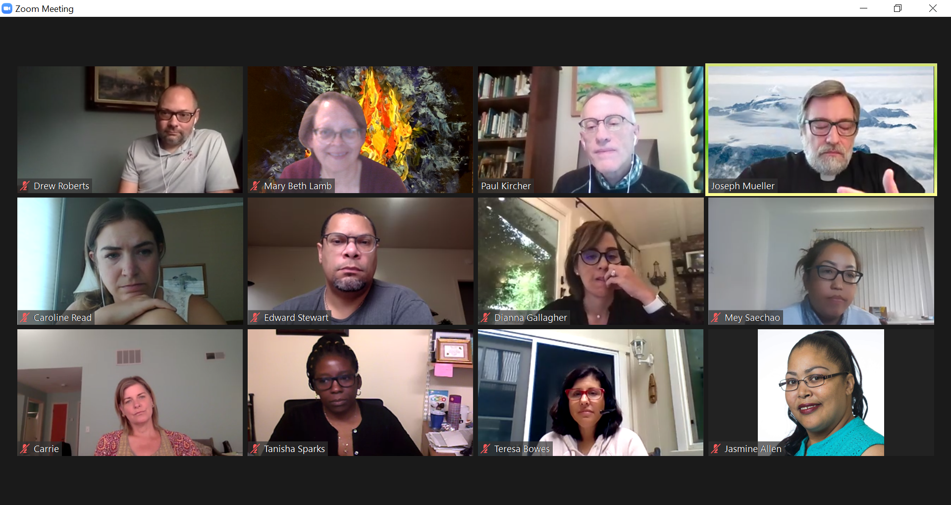 Screenshot of a virtual meeting with fifteen participants in a grid layout.