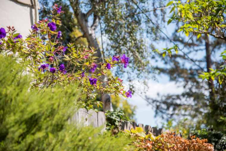 Image links to full content