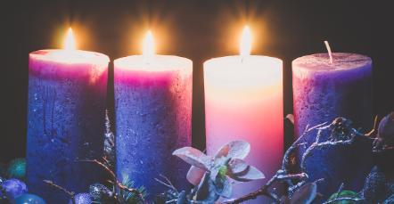 Four lit Advent candles, three purple and one pink, surrounded by greenery.