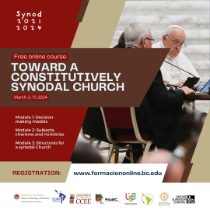 Synod MOOC