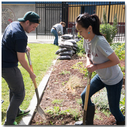 Forge-Community-Garden