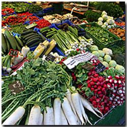 Organic-Produce-Industry