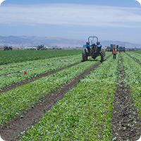 Picture of a tractor plowing over a field