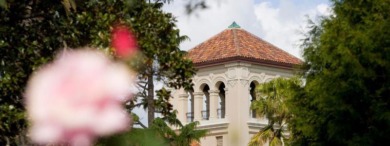 A white building and blooming flowers with a tree backdrop.