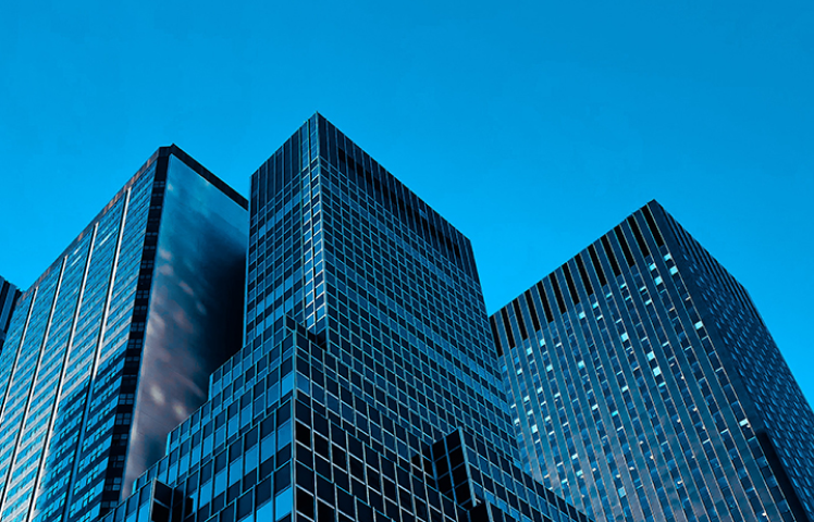 Who Should Take These Programs: Organizations 