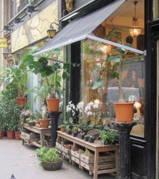  Get involved with NPI image cap