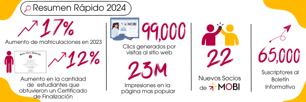 Resumen Rapido 2024 de MOBI