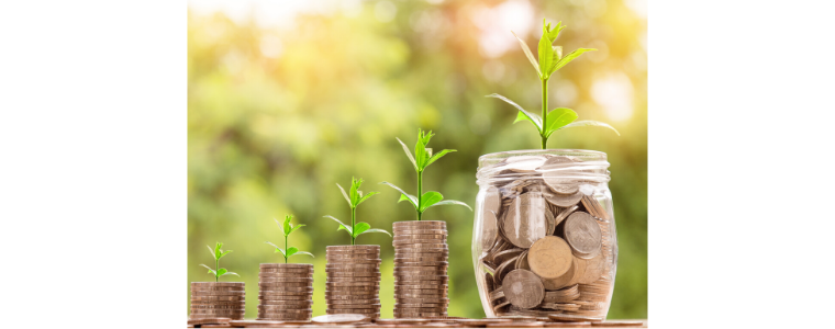 Stacks of coins and a jar filled with coins next to a green plant.