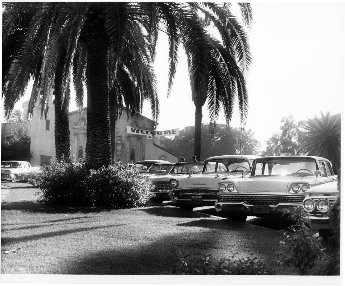 Cars parked under palm trees along a street.