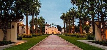 Outdoor pathway lined with palm trees and buildings in the distance.