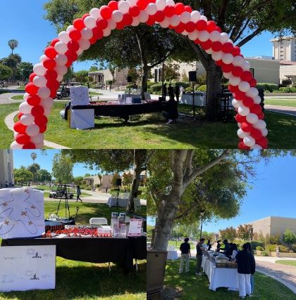 Pedestrian Safety Image (1)