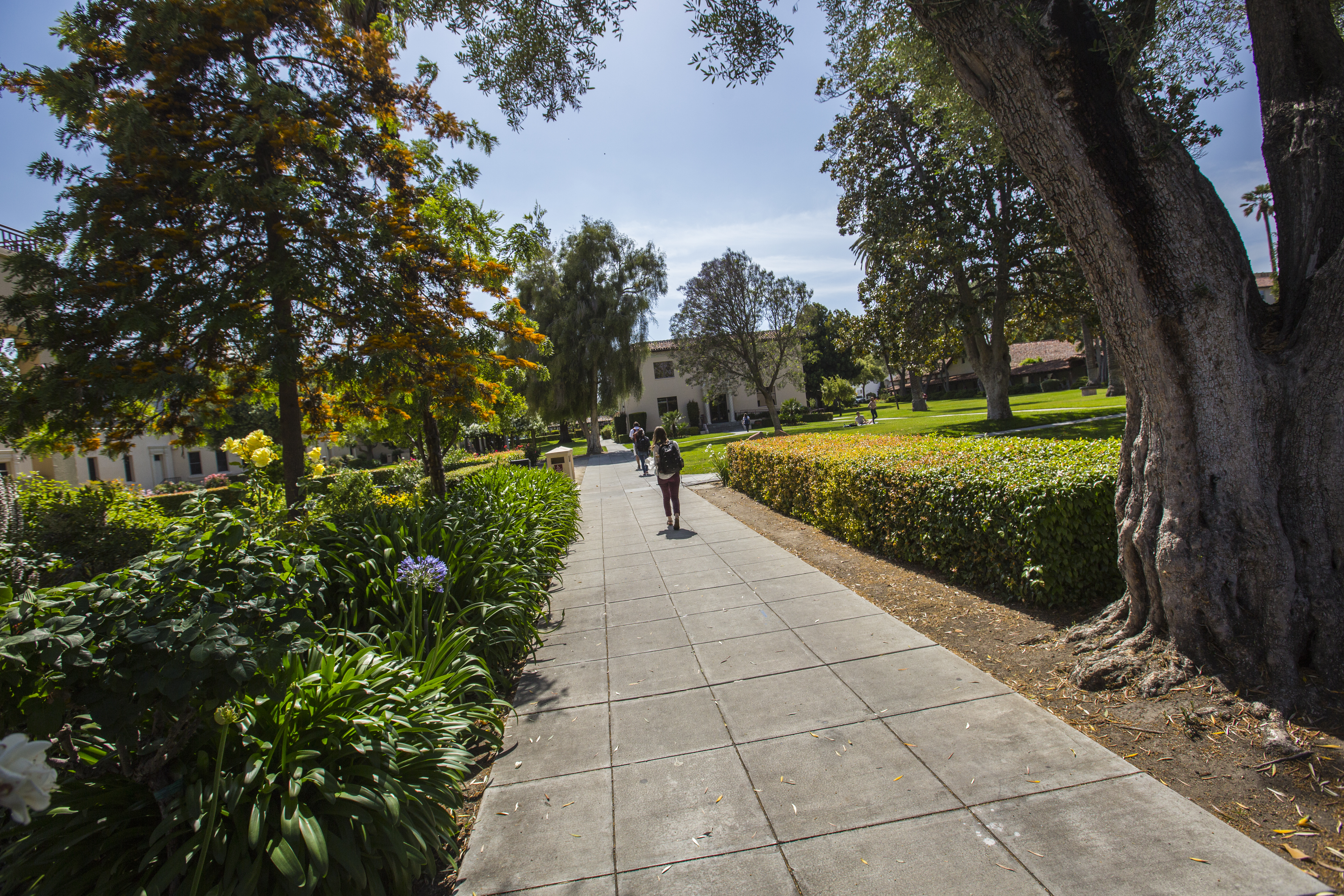 Mission Gardens Stock 